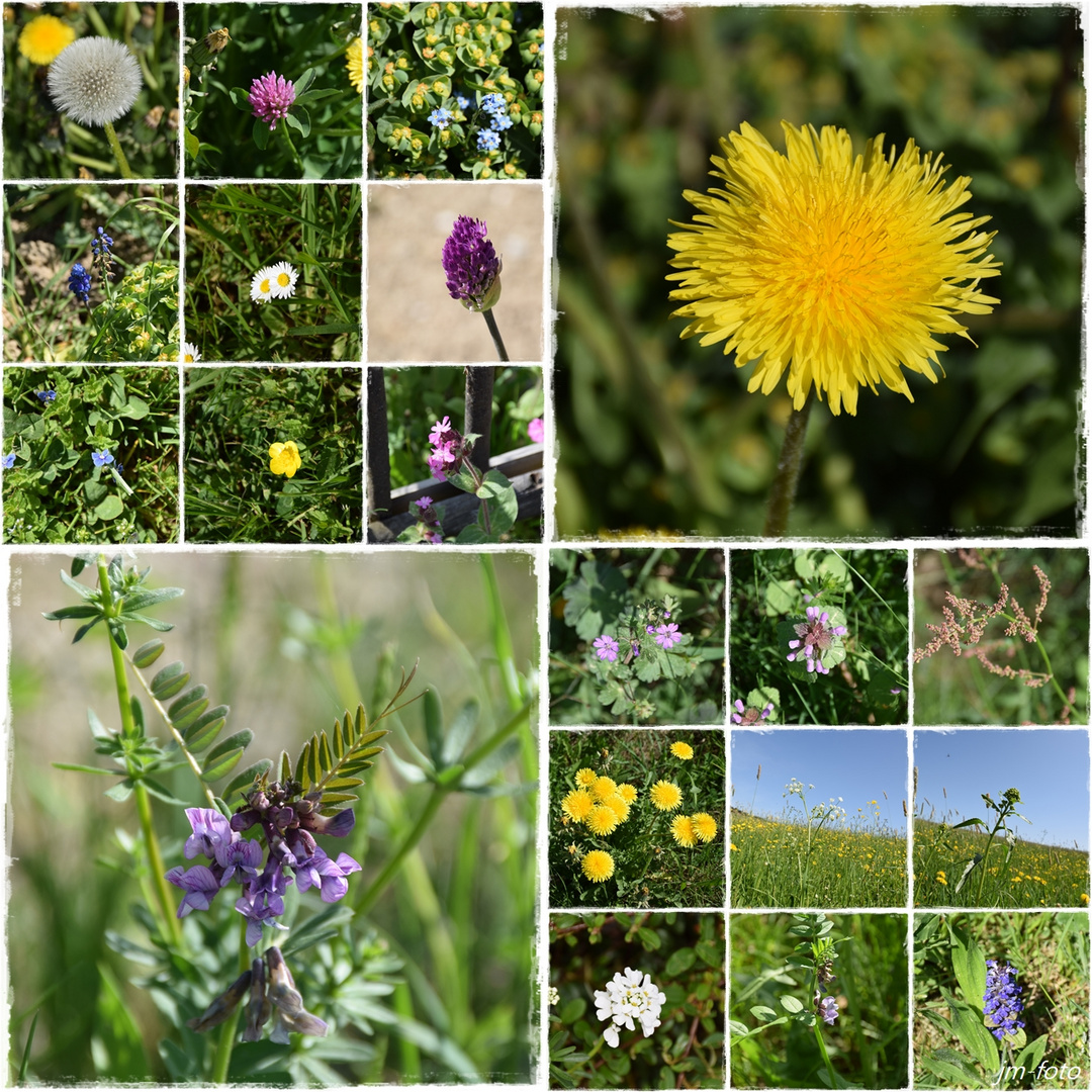 Blumen am Straßenrand ...