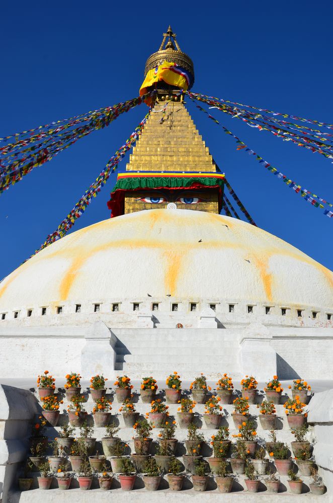 Blumen am Stupa von Bodnath in Kathmandu