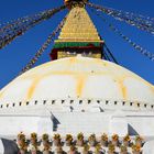 Blumen am Stupa von Bodnath in Kathmandu