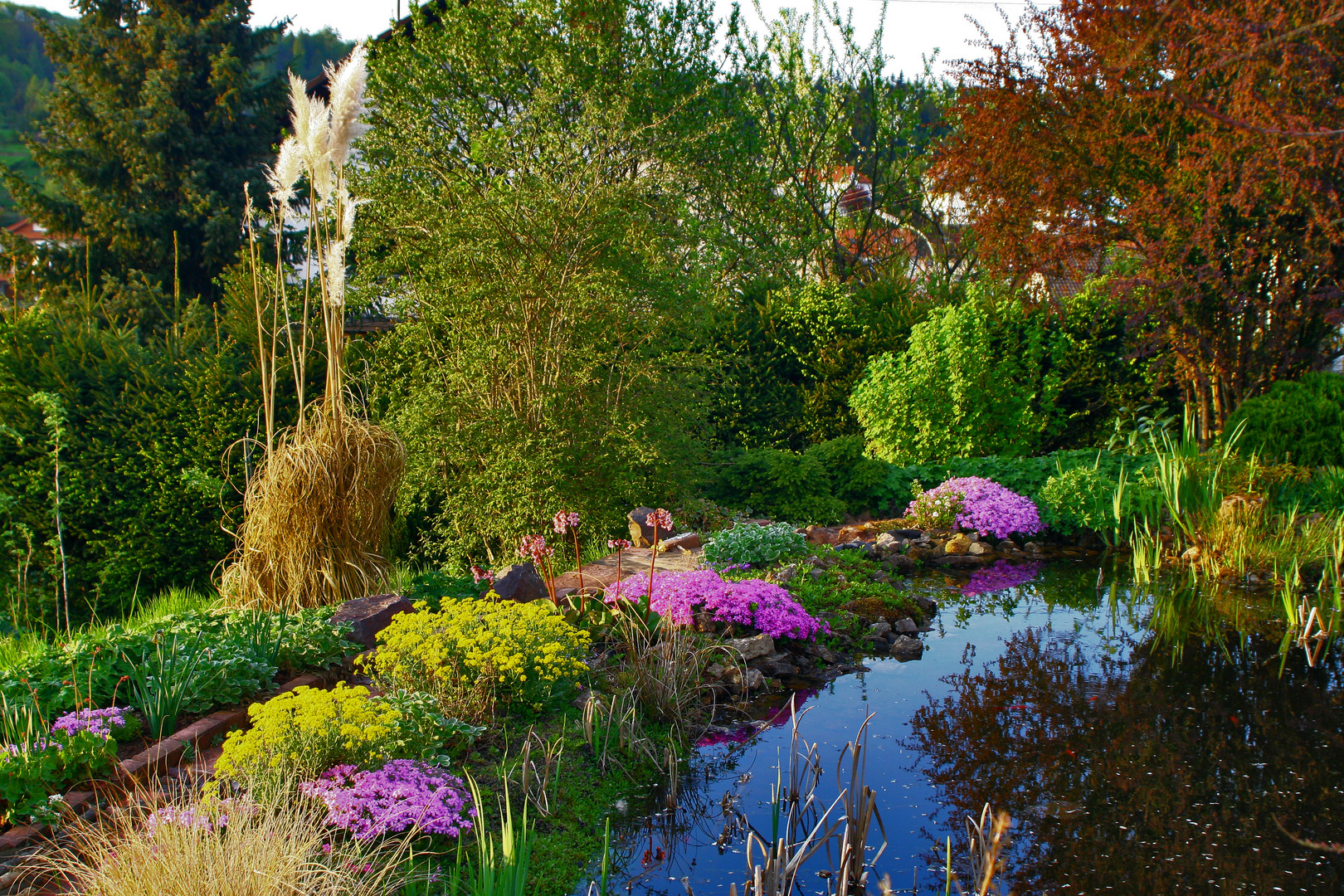 Blumen am Teichrand Foto & Bild jahreszeiten, frühling, teich Bilder