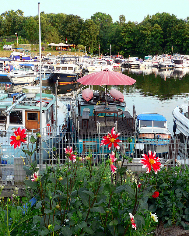 Blumen am Yachthafen Saarbrücken