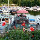 Blumen am Yachthafen Saarbrücken