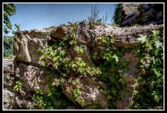 Blumen an der Sandsteinmauer