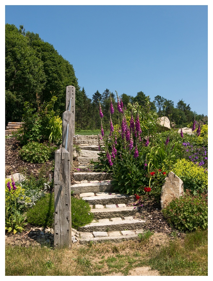 Blumen an der Treppe