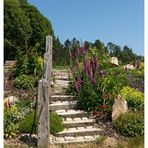 Blumen an der Treppe