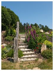 Blumen an der Treppe