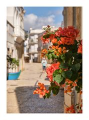 Blumen an der Wand