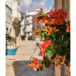 Blumen an der Wand