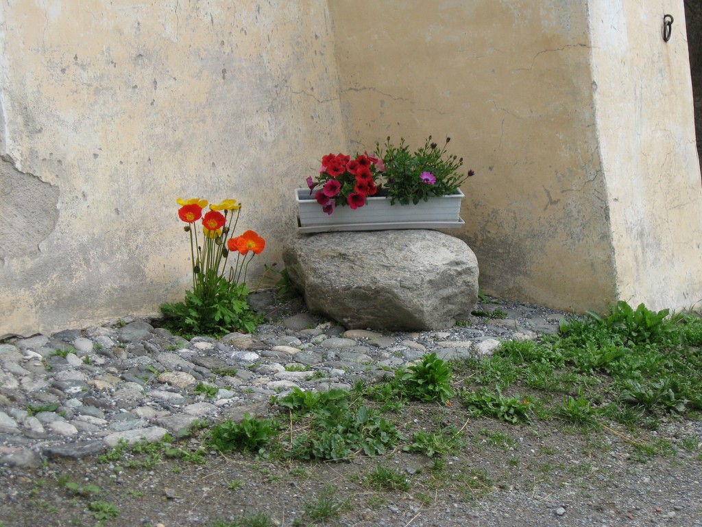 Blumen an Engadiner Haus