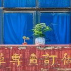 Blumen auf der Fensterbank