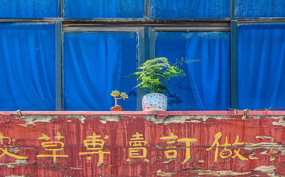 Blumen auf der Fensterbank