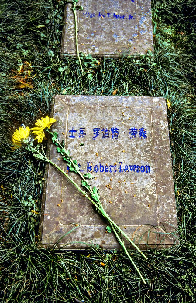 Blumen auf einem Grabstein