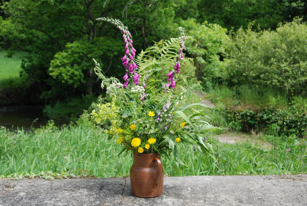 Blumen aus dem Garten der Natur