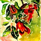 - Blumen aus dem Mittelmeer-Raum - schwebend - Aquarell - 1975 -