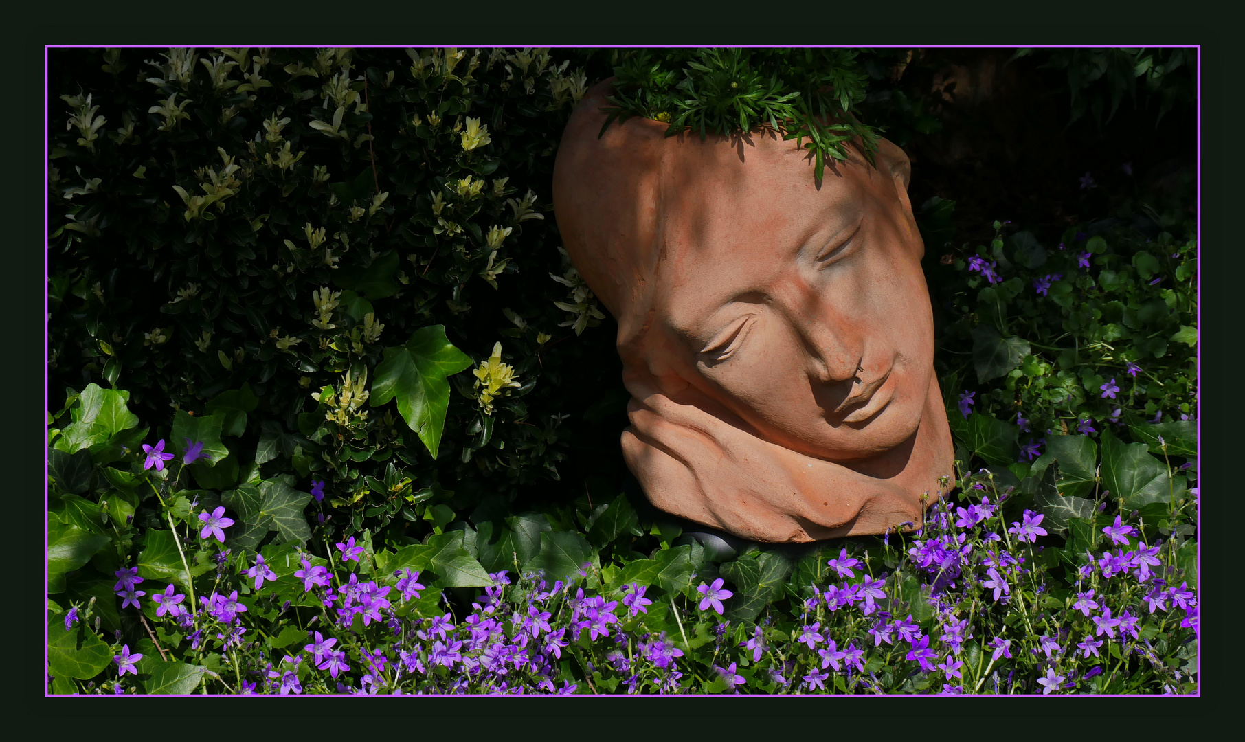 Blumen aus meinen Garten