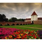 Blumen bei der BURG