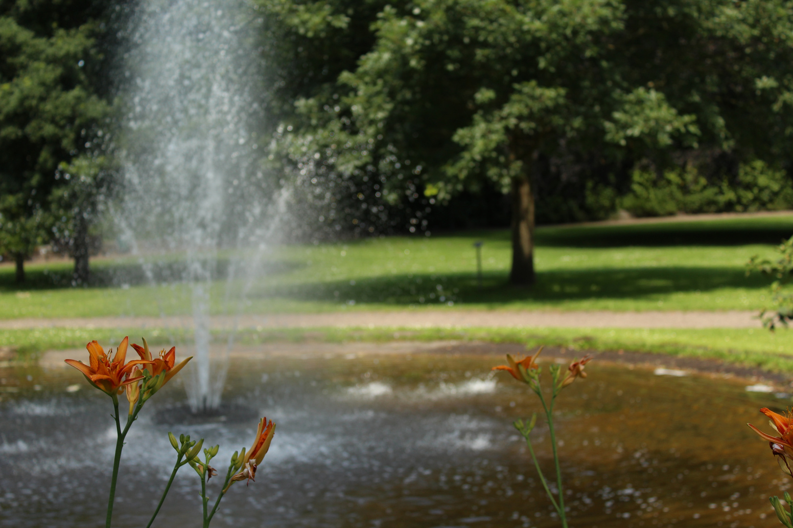 Blumen beim Brunnen