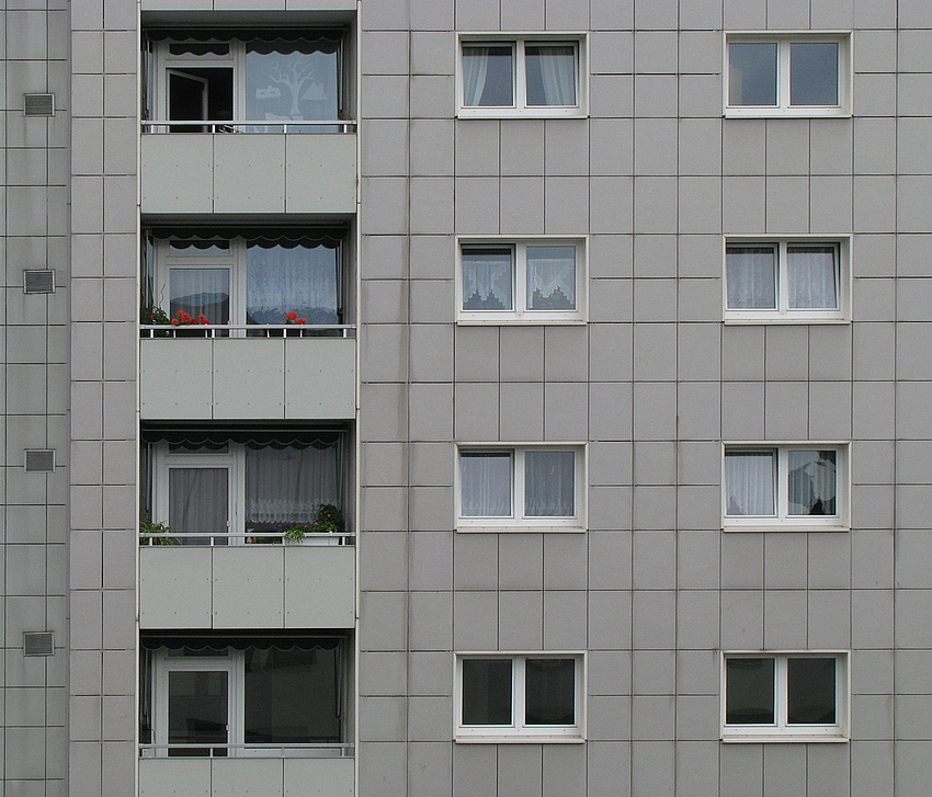 Blumen bereichern das Leben