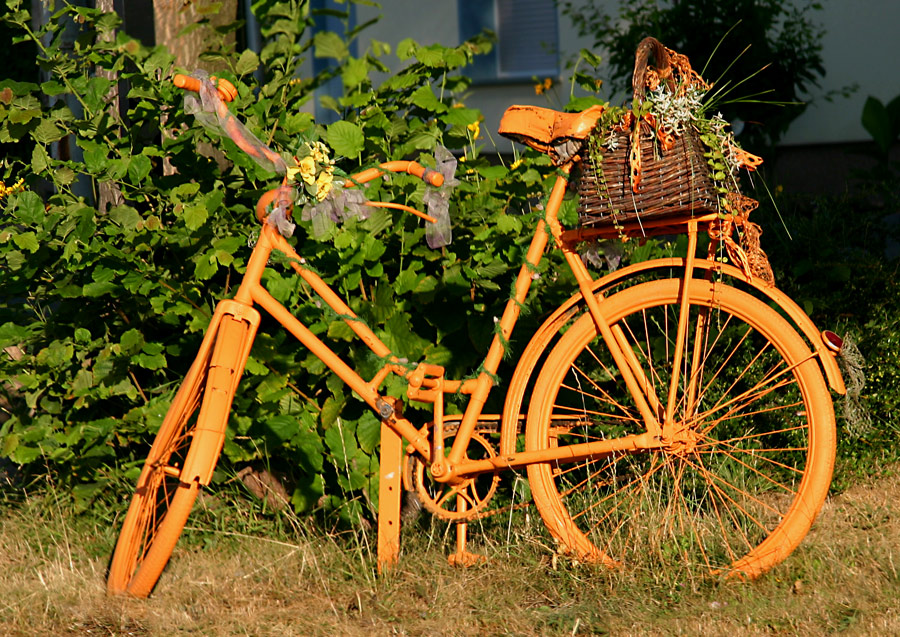 Blumen-Bike