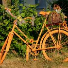 Blumen-Bike