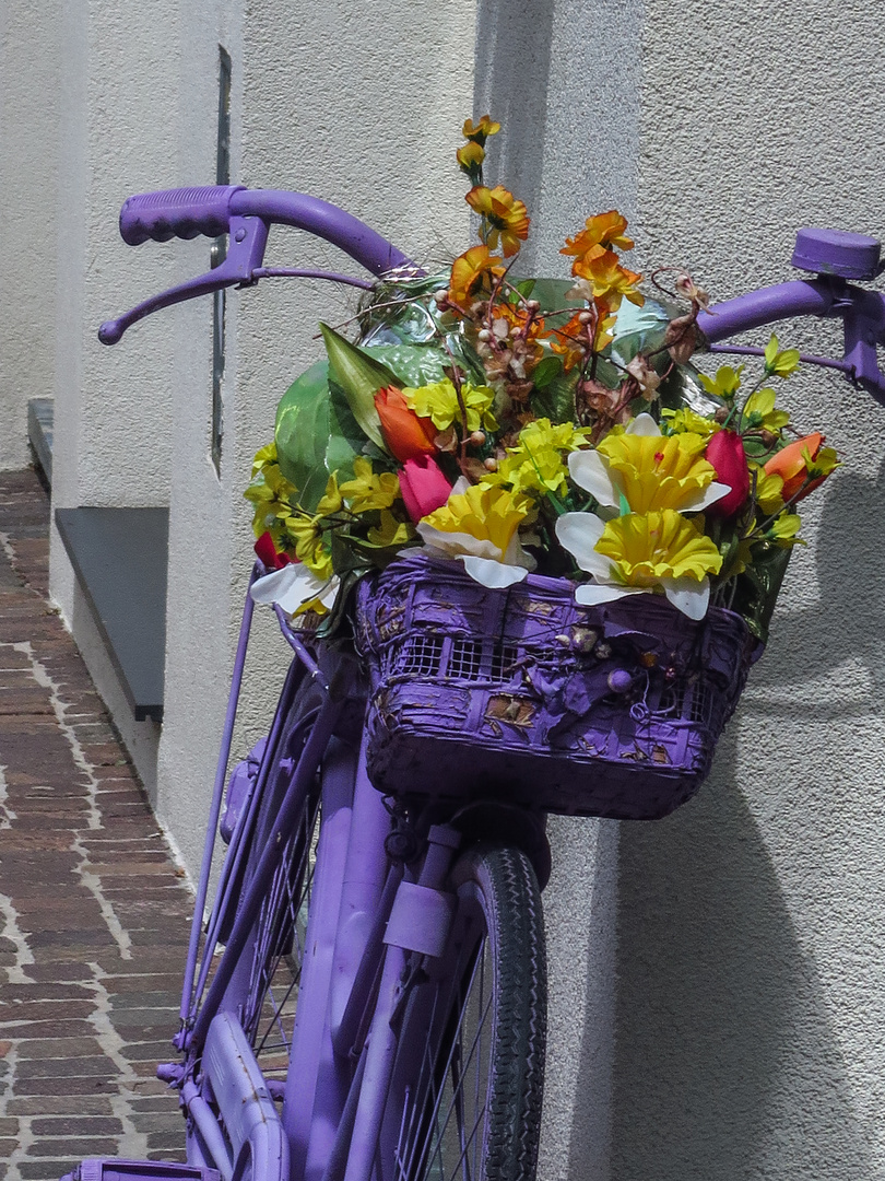 Blumen - Bike