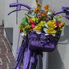 Blumen - Bike