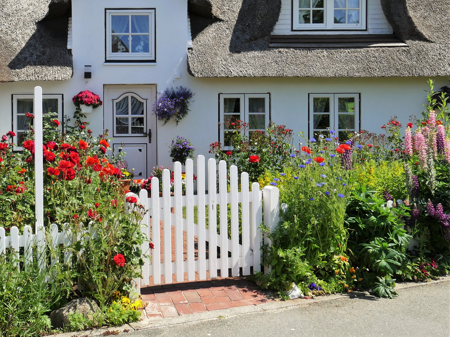 Blumen & Blüten