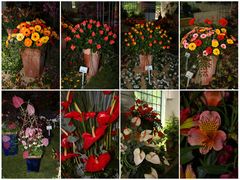Blumen, Blumen, Blumen