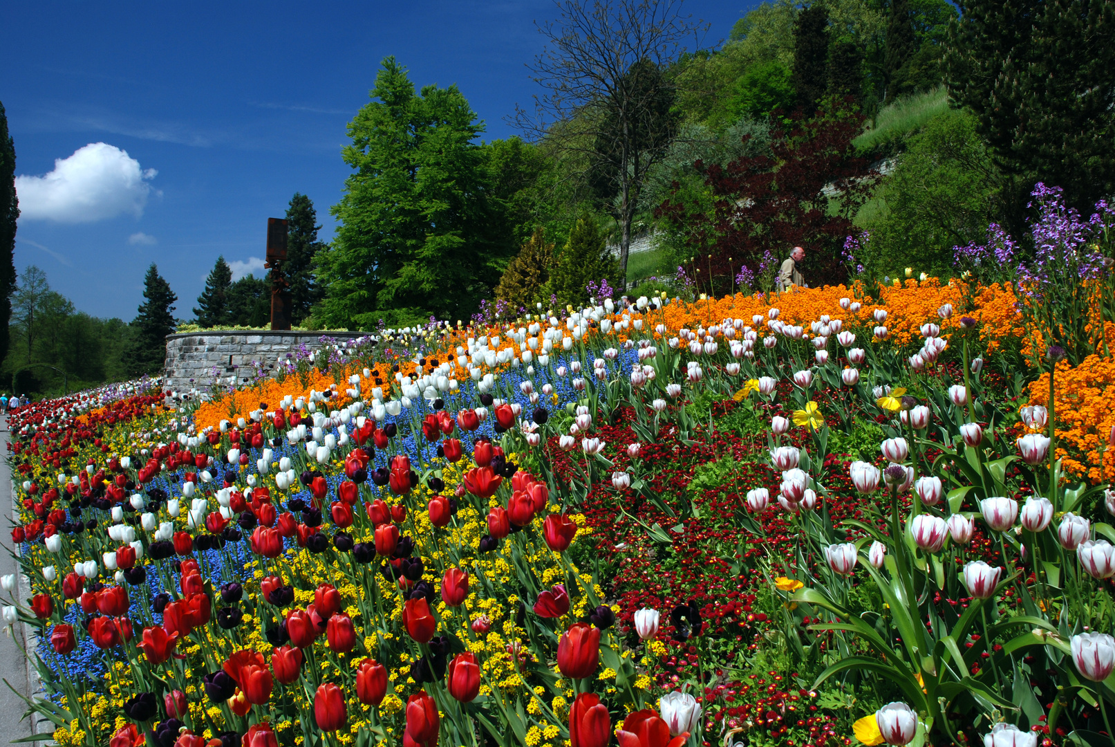 Blumen, Blumen und nochmals Blumen