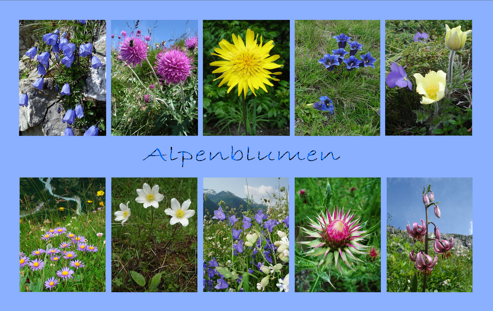 Blumen