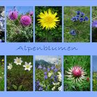 Blumen