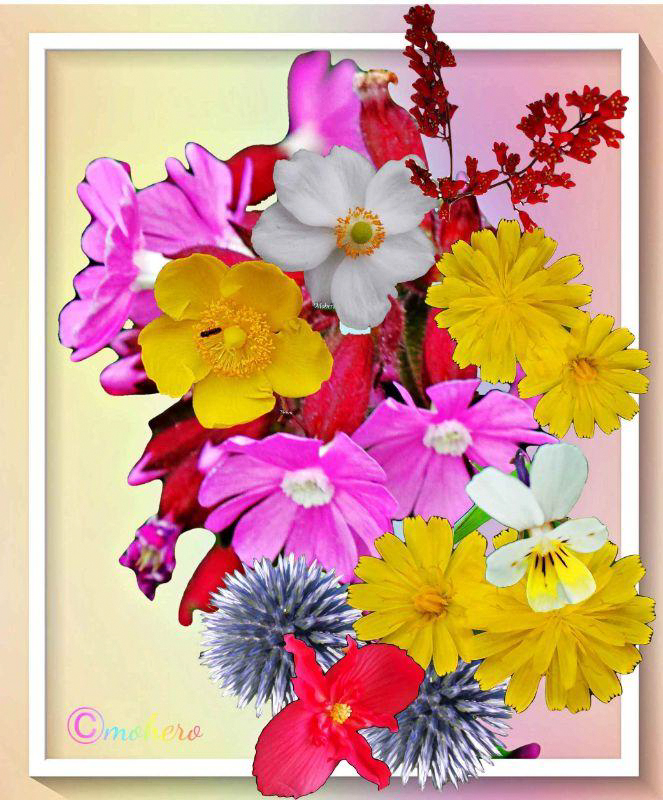 Blumen-Collage anderer Art (ältere Arbeit)