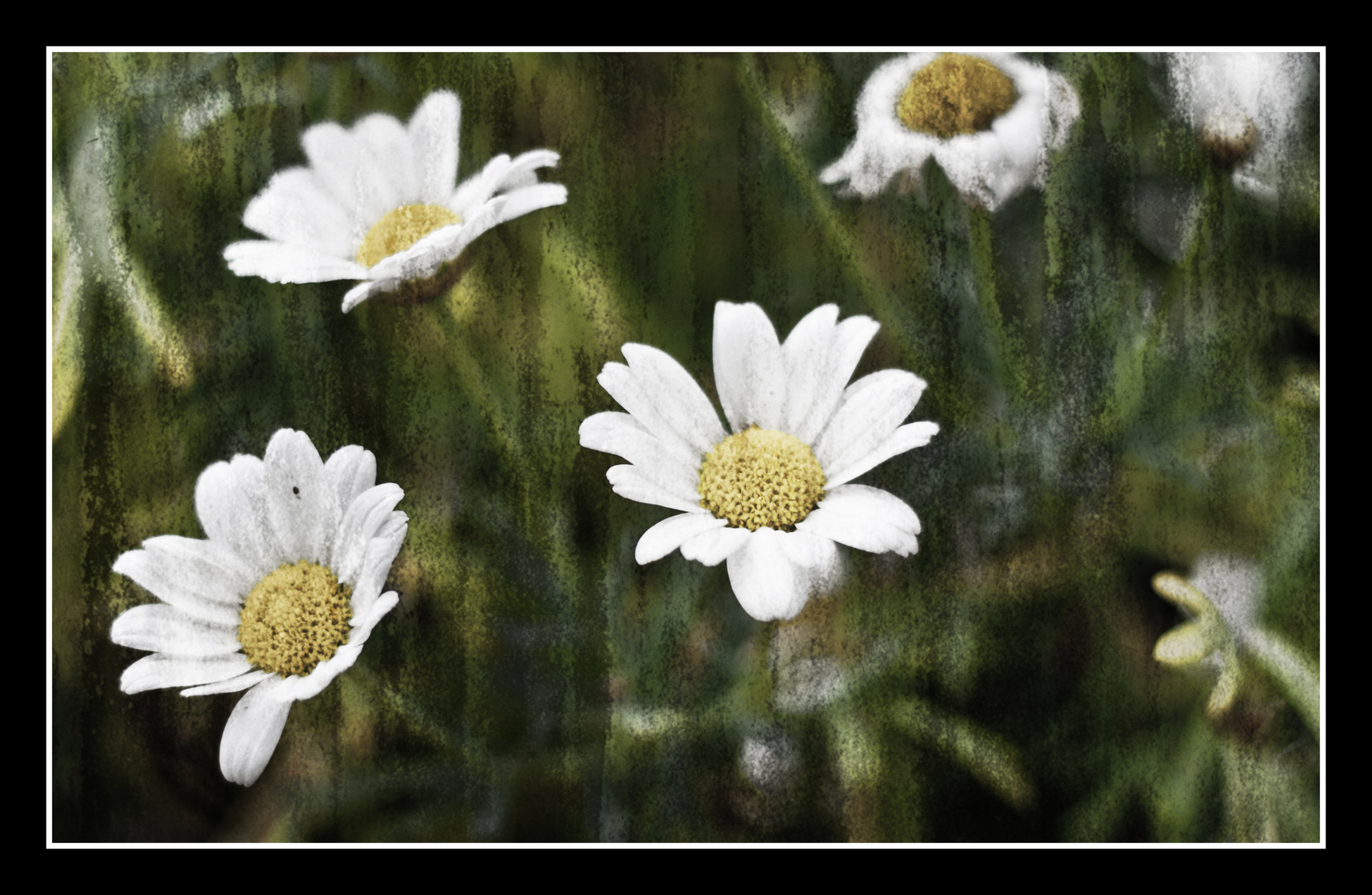 Blumen