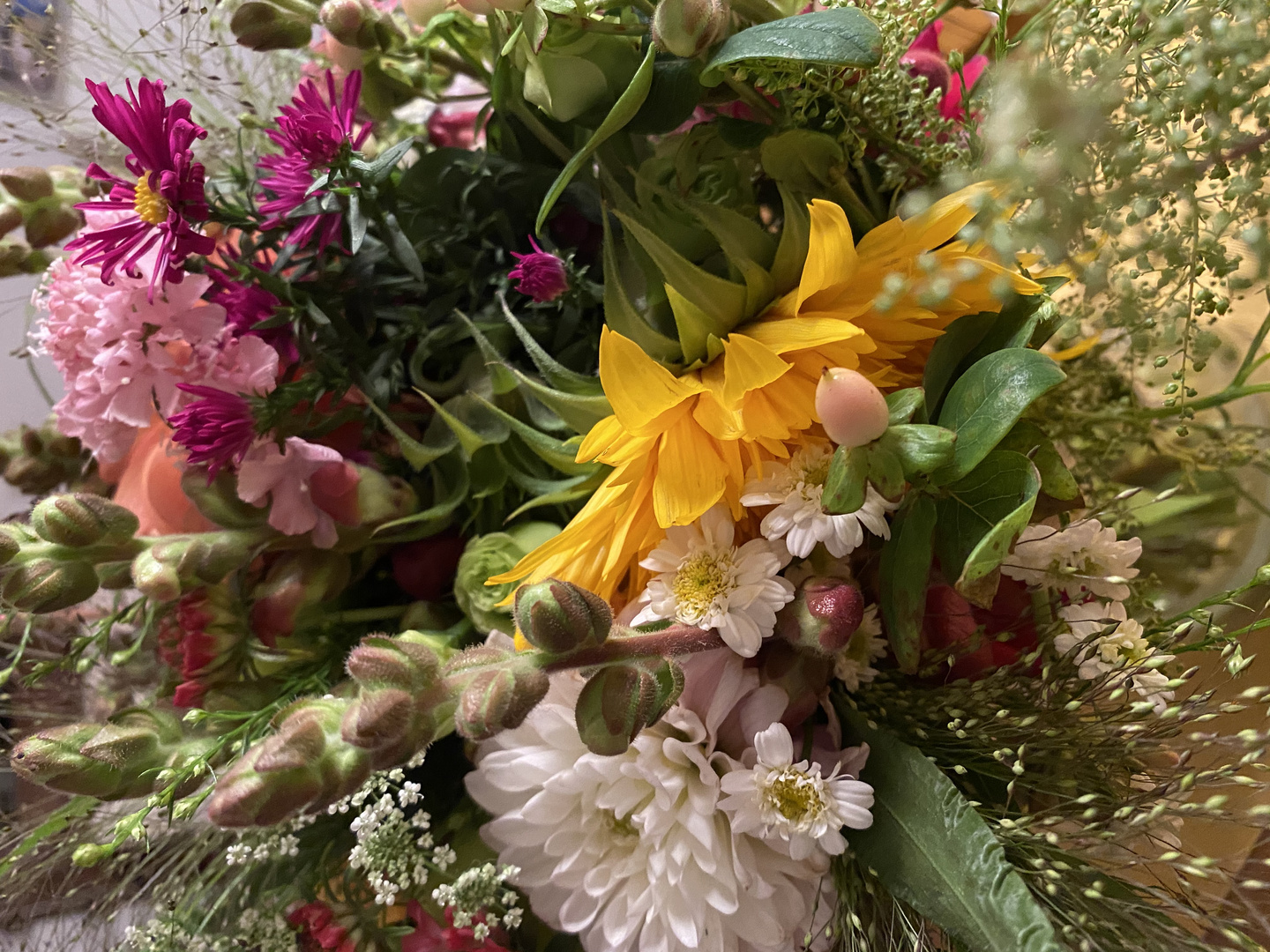 Blumen der Freude und Leichtigkeit 