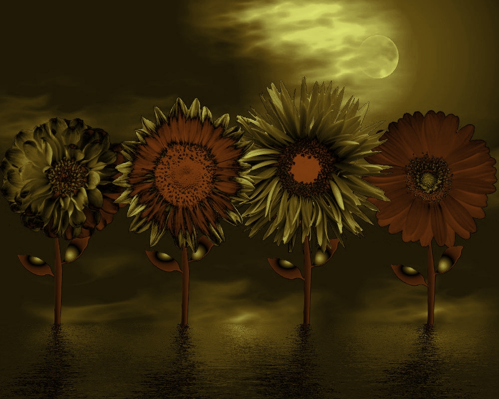 Blumen der Nacht