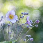 Blumen durch Altglas