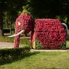 Blumen-Elefant im Hammer Kurpark