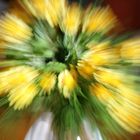 Blumen Explosion