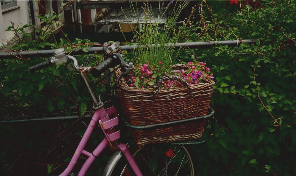 Blumen- Fahrrad by Lydia P