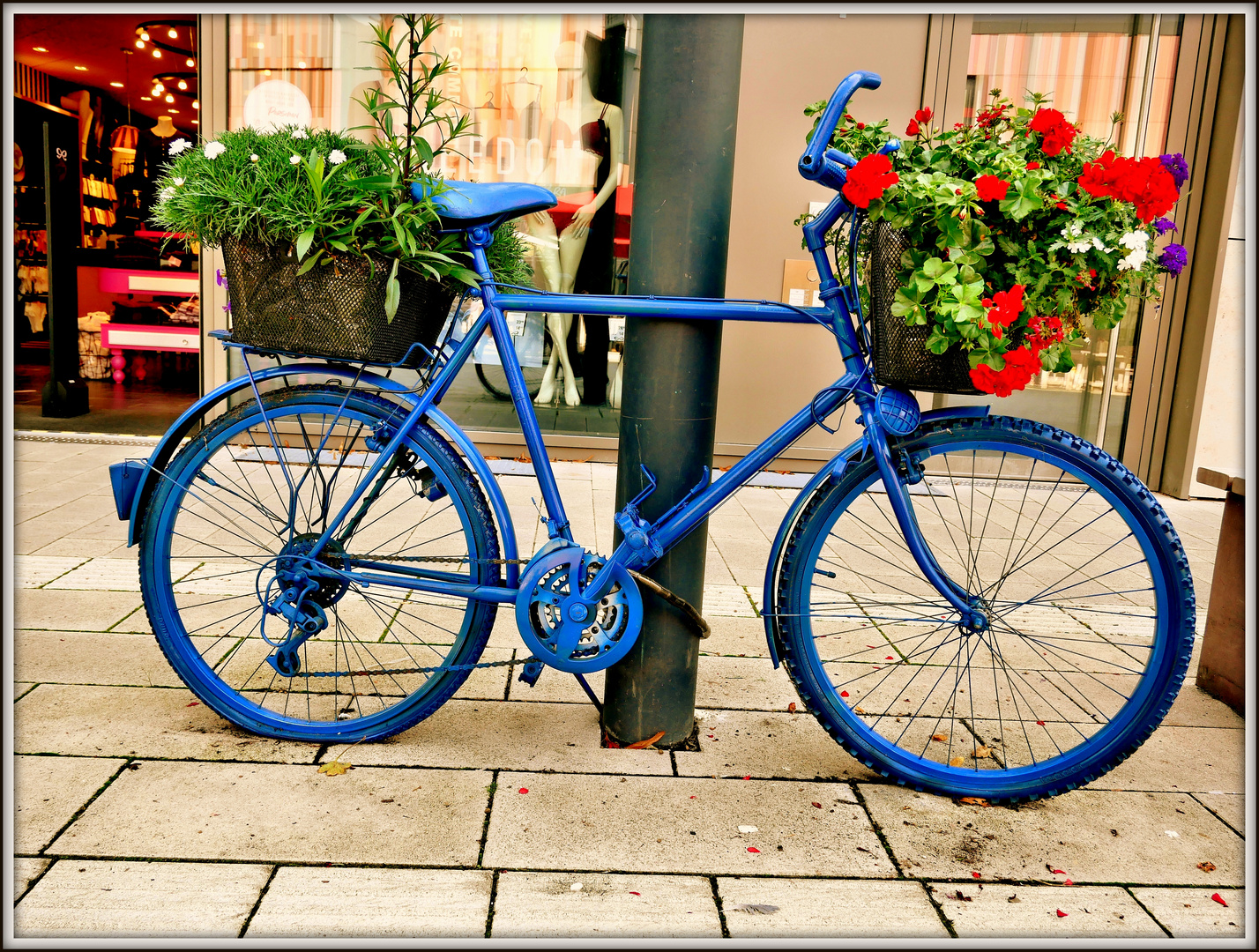 Blumen-Fahrrad in Höxter