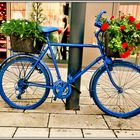 Blumen-Fahrrad in Höxter