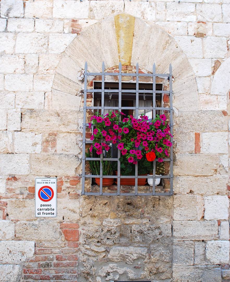 Blumen-Fenster