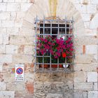 Blumen-Fenster