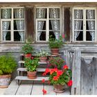 Blumen Fenster