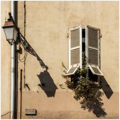 Blumen Fenster