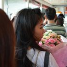 Blumen - Flowers - Flores (Bangkok - Ferry - Thailand)