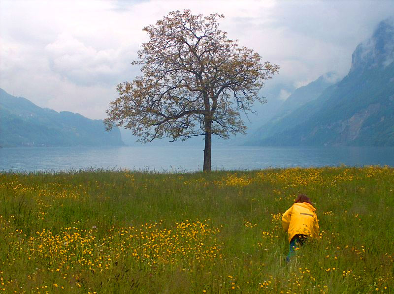 Blumen für den Heiligen Geist