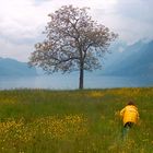 Blumen für den Heiligen Geist