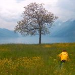 Blumen für den Heiligen Geist