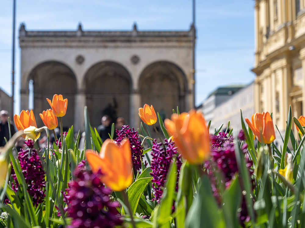 Blumen für die Feldherrn